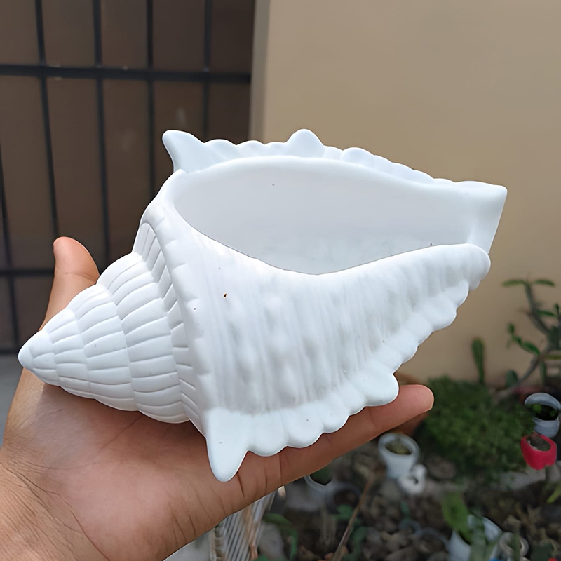 DIY 3D Conch Shaped Silicone C - Potsticker Mold 评论和价格